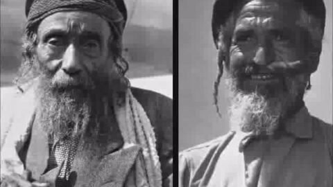 אל נורא עלילה — שנות ה־70, שבות עם חולון