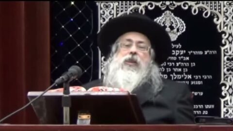 כבוד קדושת האדמו”ר מטאלנא על פרשת תולדות – ויצא
