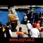 שמחת פורים בת”ת מבשר טוב לילדי תימן