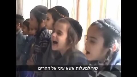 אחי בני תימן, אנה פנינו מועדות?