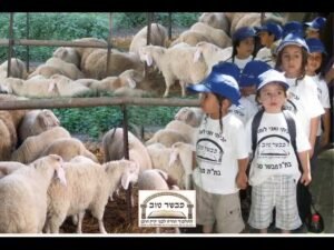 ילדי מוסדות מתימן יבוא