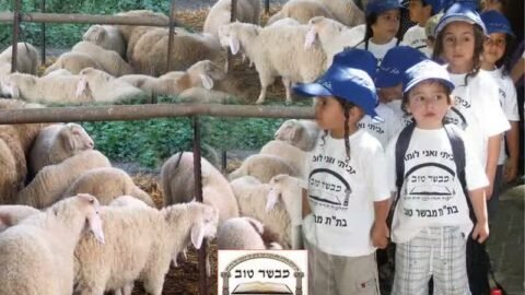 ילדי מוסדות מתימן יבוא