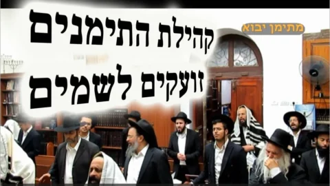 עצרת תפילה — שלומי עליון