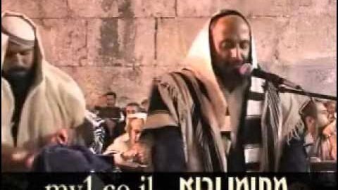 מרן דבשמיא בכותל — הרב נפתלי אברהם
